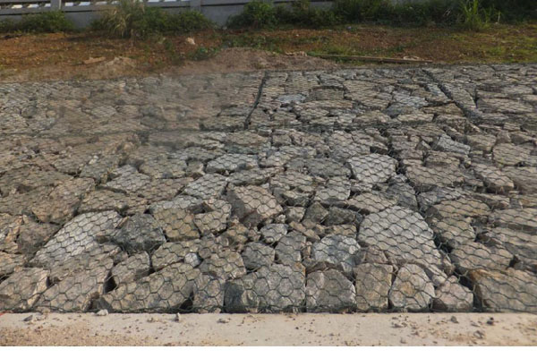 高爾凡雷諾護墊 高爾凡雷諾護墊